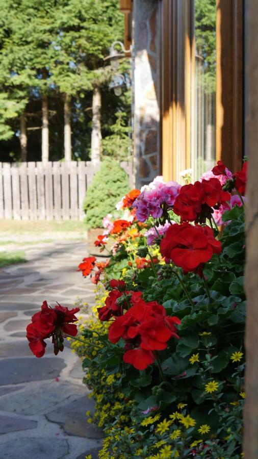Pension Aspen Харачов Екстериор снимка